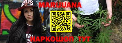 индика Моздок