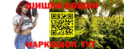 индика Моздок