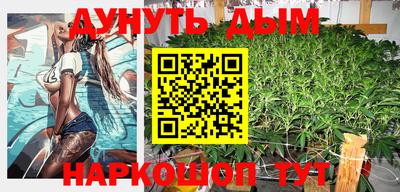 индика Моздок