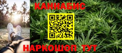индика Моздок