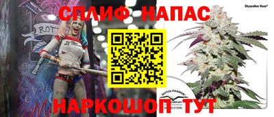 индика Моздок