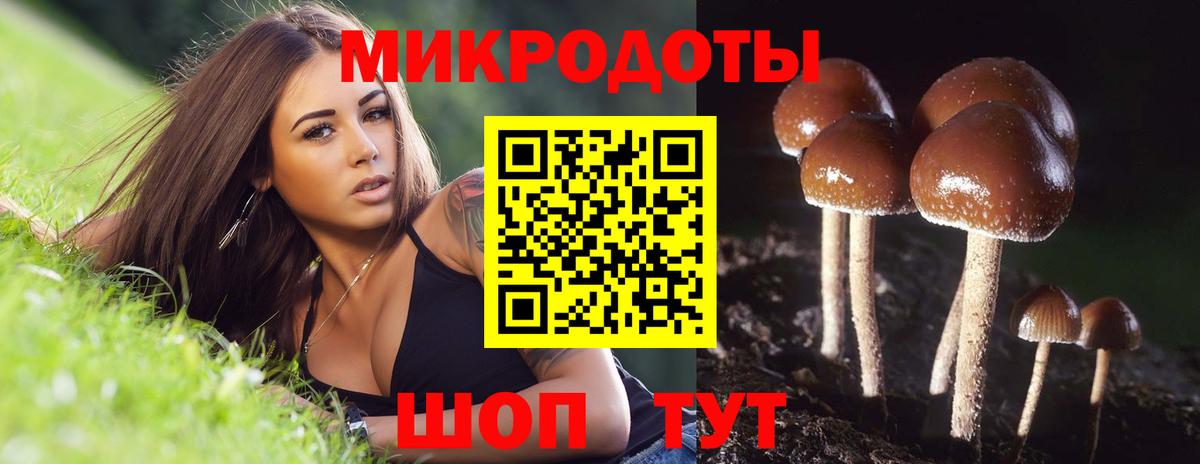 Псилоцибиновые грибы MAGIC MUSHROOMS Солнечногорск